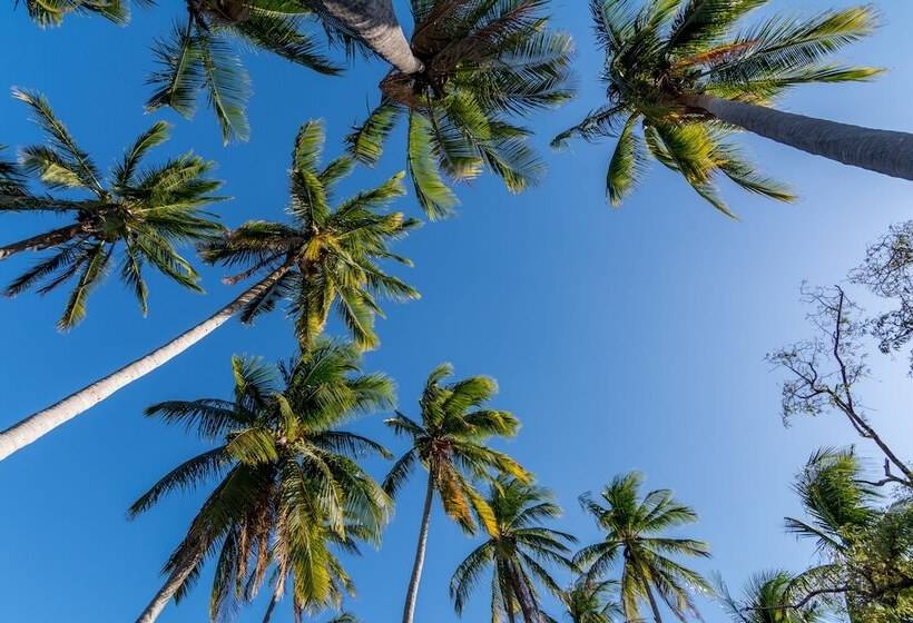 פנסיון Villas Playa Hermosa Beach