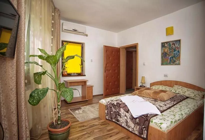 Pensiunea Caramida Verde