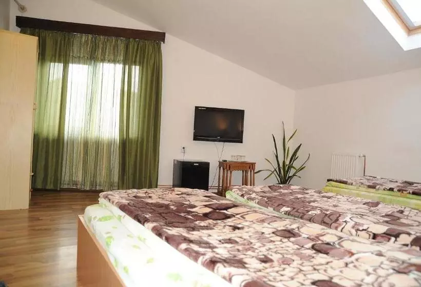 Pensiunea Caramida Verde