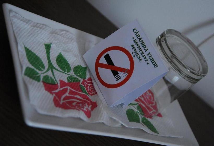 Pensiunea Caramida Verde