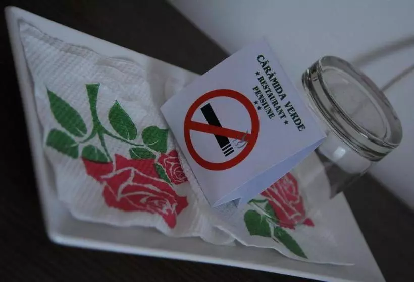 Pensiunea Caramida Verde