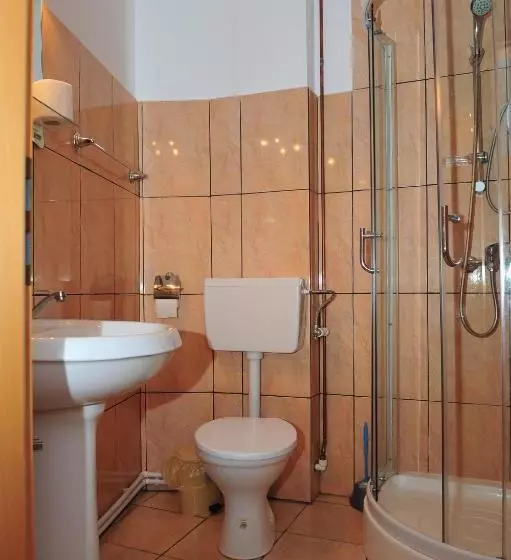 Pensiunea Caramida Verde