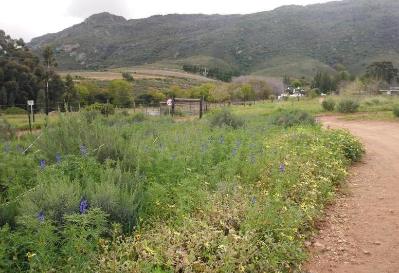 هتل Brambleberry Farm