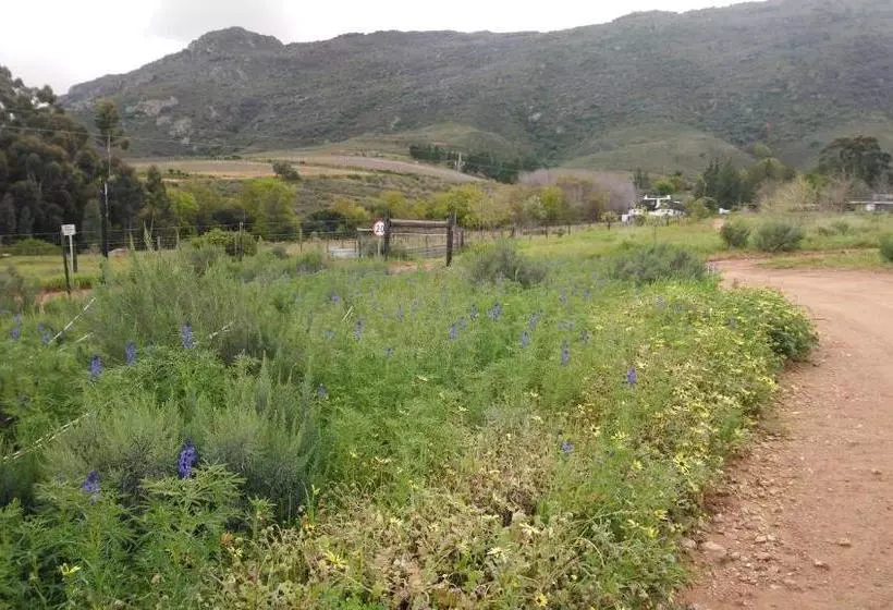هتل Brambleberry Farm