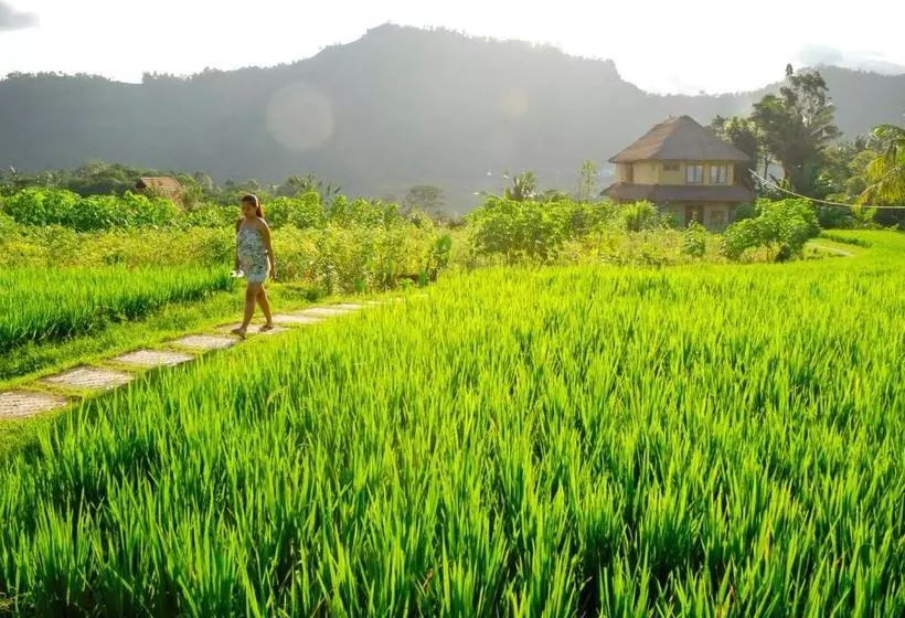 ペンション Bebek Biru