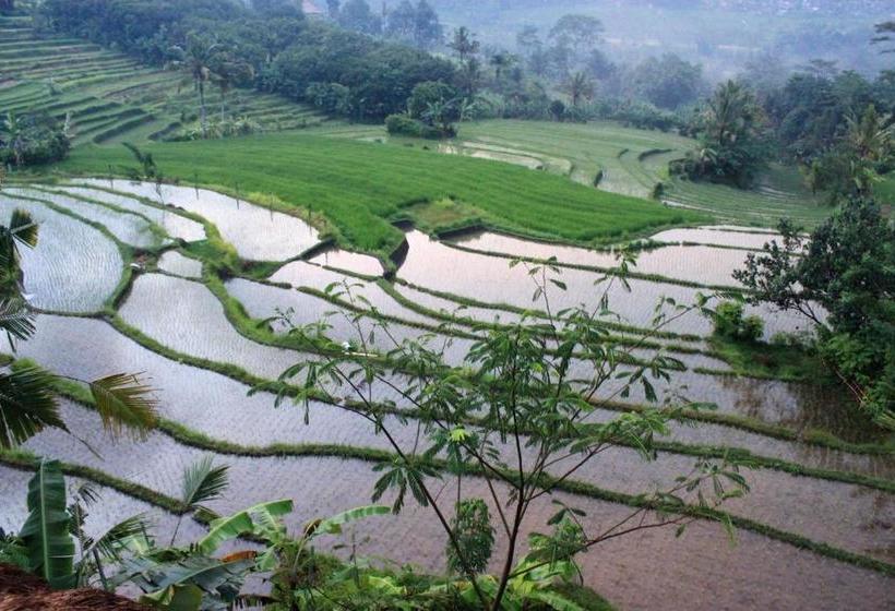 膳宿费 Bebek Biru