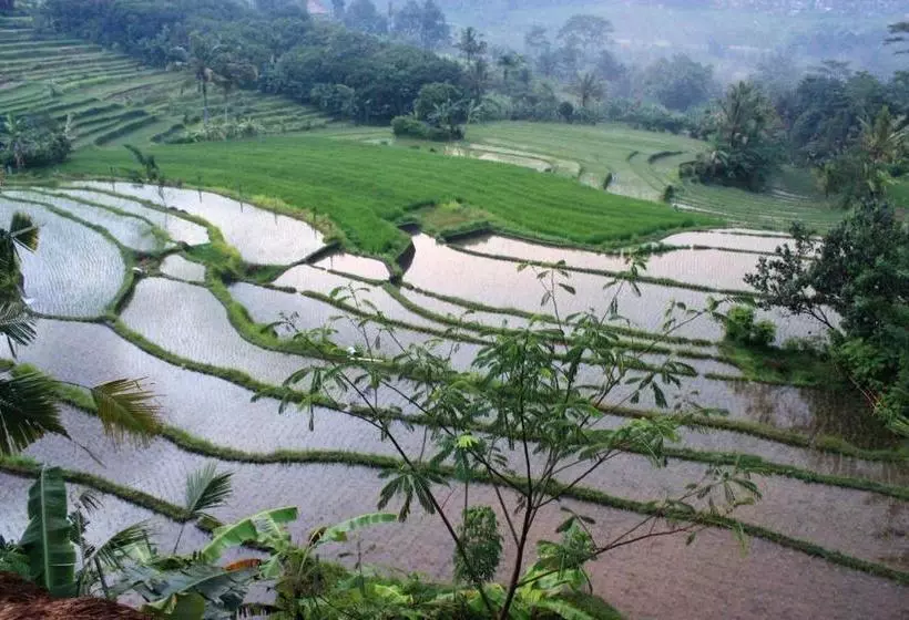 ペンション Bebek Biru