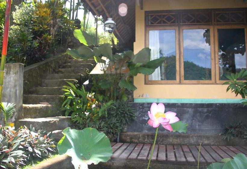 膳宿费 Bebek Biru