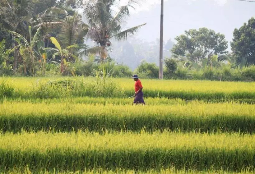 ペンション Bebek Biru