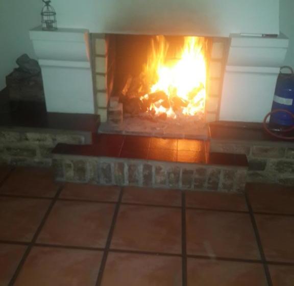 פנסיון De Plaashuis