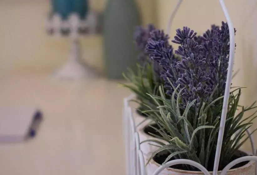 Majatalo Lavender Lane