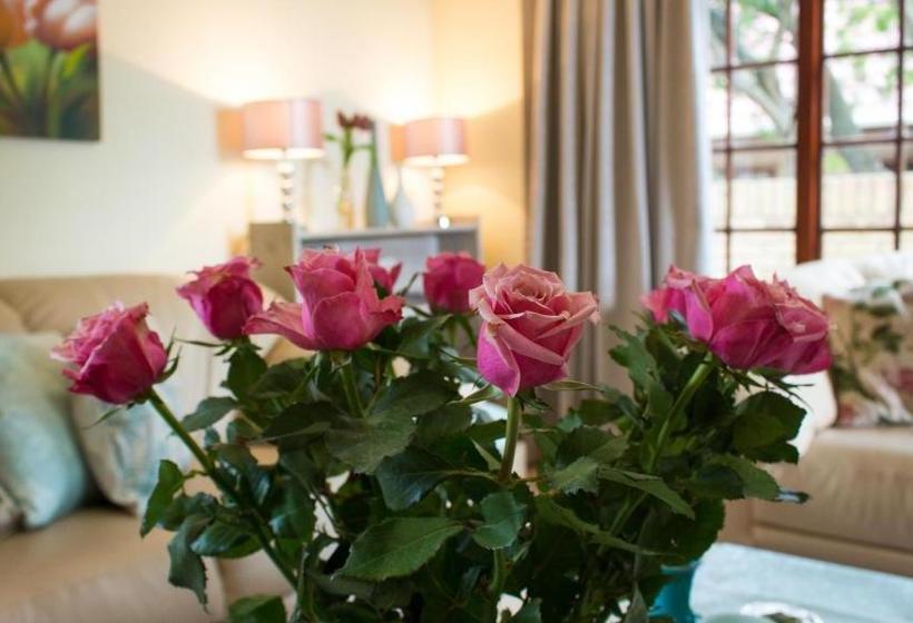 פנסיון Lavender Lane