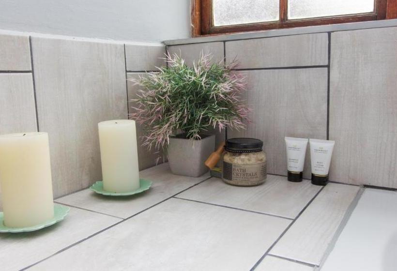 פנסיון Lavender Lane