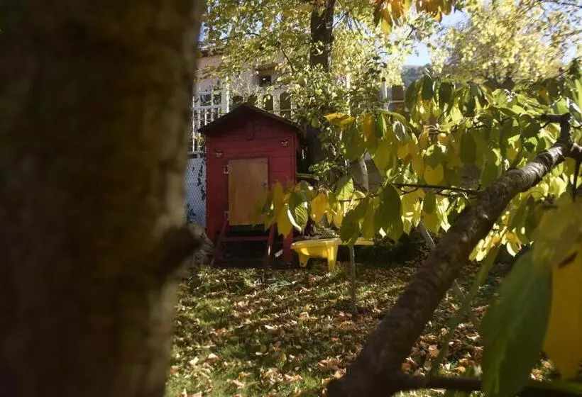 پانسیون Guest House Zdravets