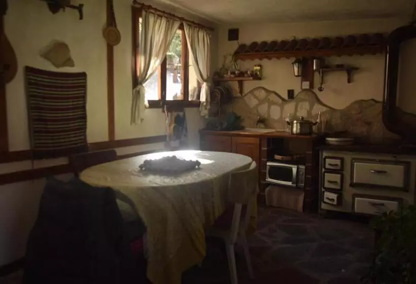 پانسیون Guest House Zdravets