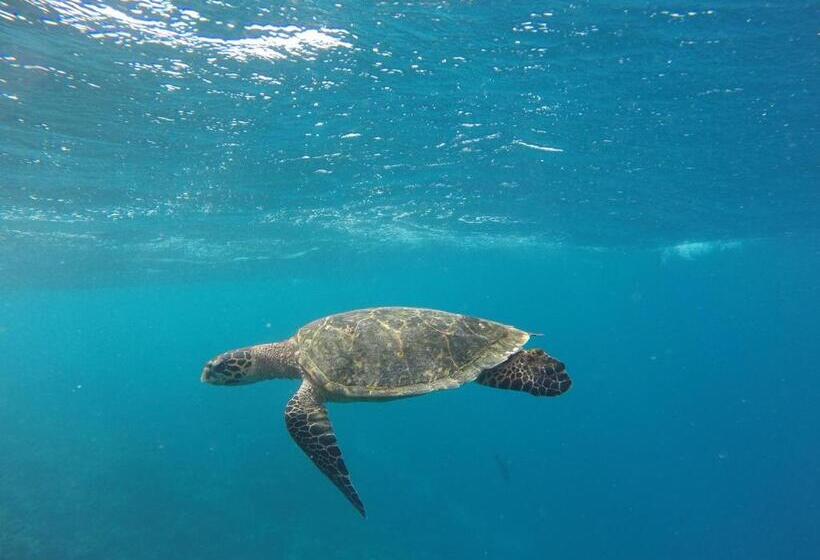 پانسیون Kahanbu Ocean View