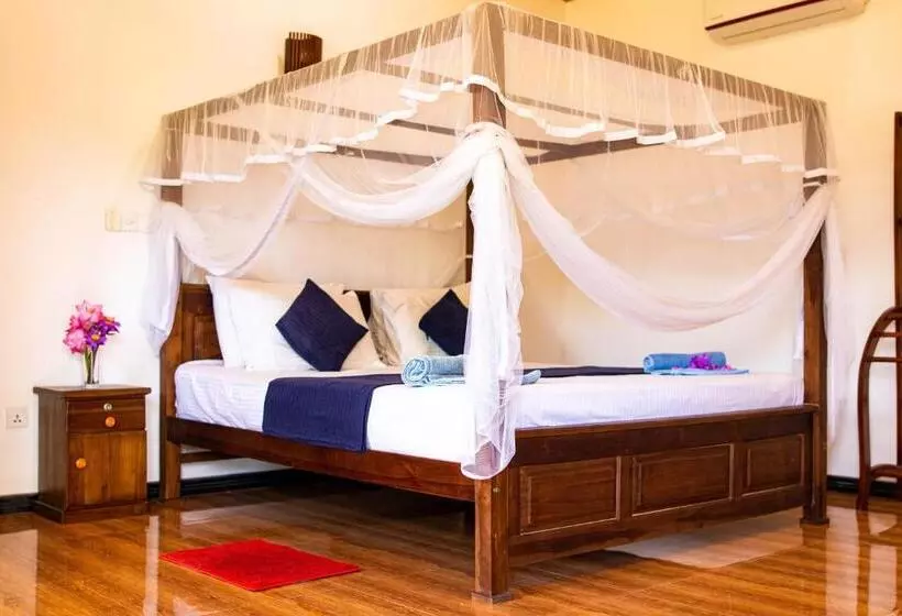 ペンション Shan Star Weligama