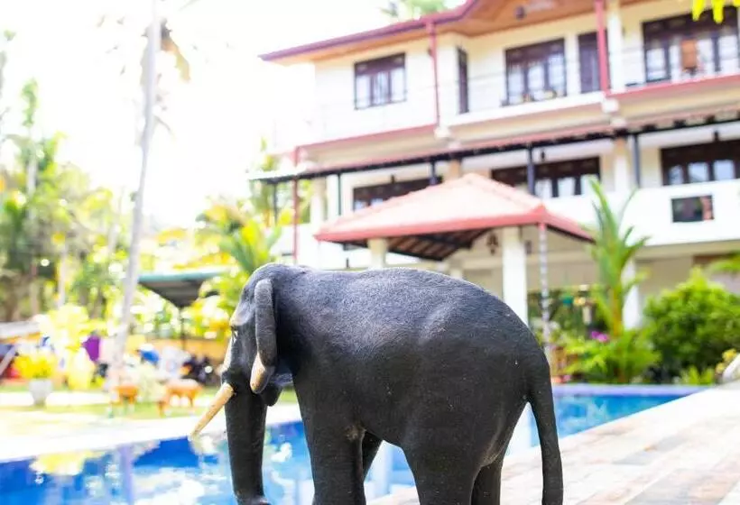 ペンション Shan Star Weligama