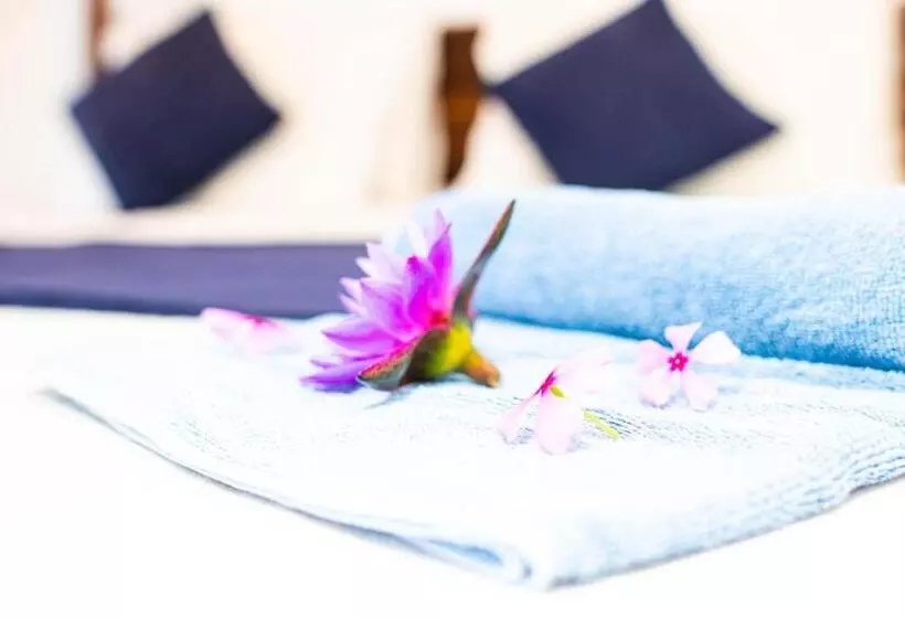 ペンション Shan Star Weligama