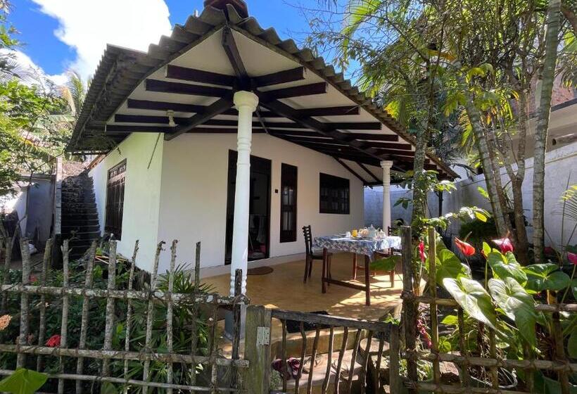 Пансион Sun & Tree Homestay