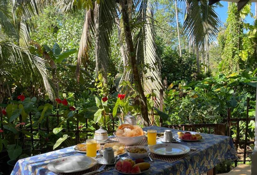 بنسيون Sun & Tree Homestay