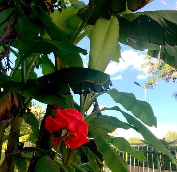 פנסיון Victoriya's House