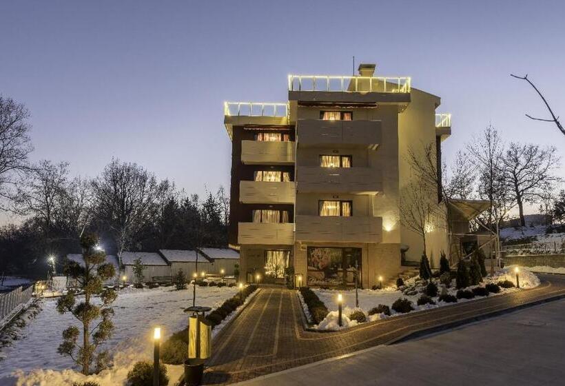 פנסיון Victoriya's House