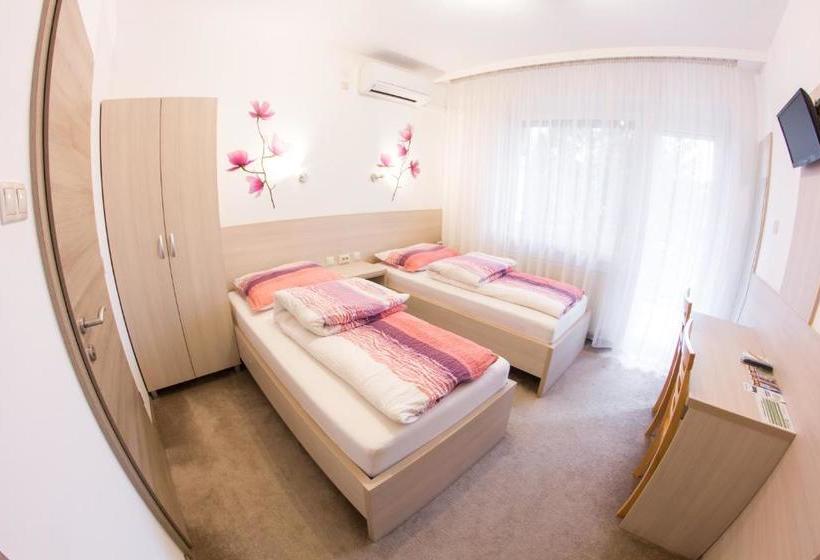 بنسيون Vándor Vendégház