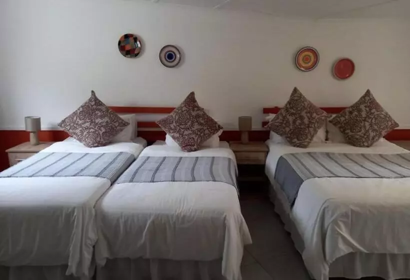 ペンション Ashtonville Terraces Guesthouse