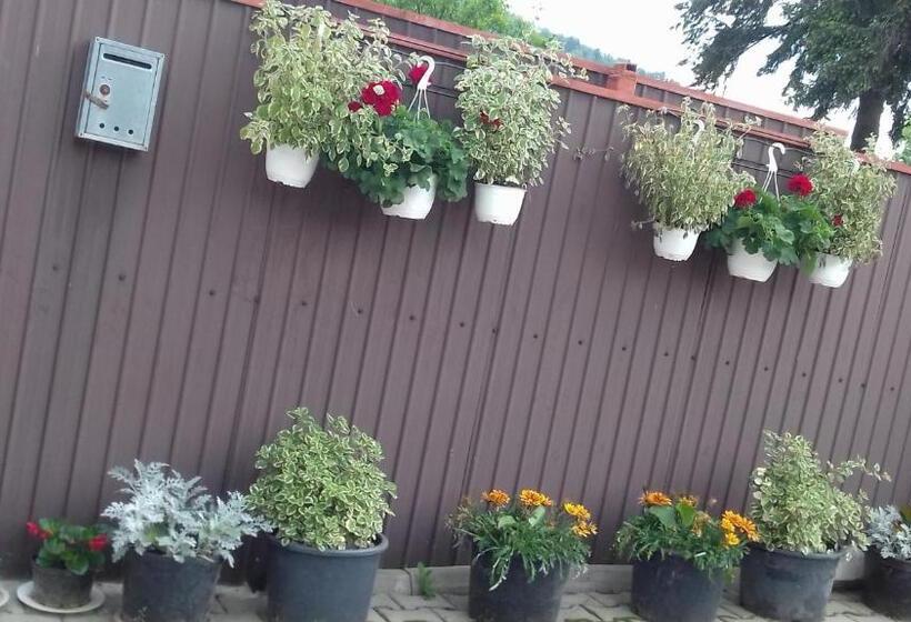 پانسیون Casa Nobilis