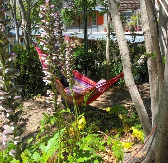 פנסיון Hostal Los Peñones