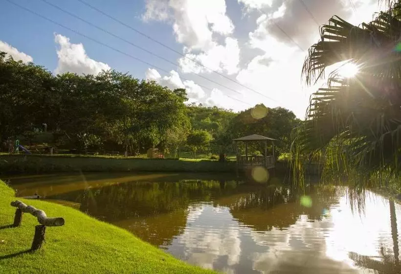 ペンション Pousada Das Bromélias