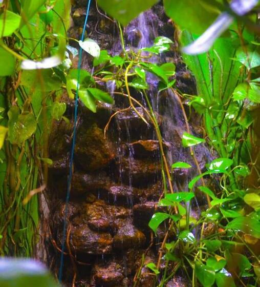 هاستل Linda Cottage