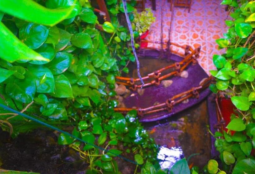 هاستل Linda Cottage