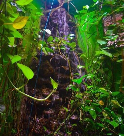 هاستل Linda Cottage