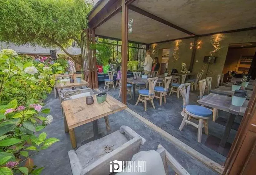 ペンション Les Chambres Du 7 By Juliette   Maison Caerdinael