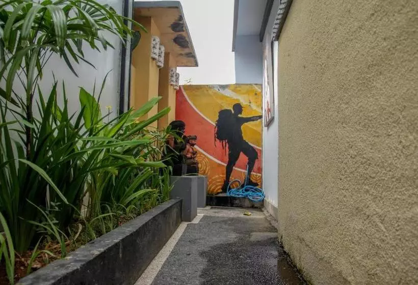 ペンション Nyoman Guesthouse Canggu