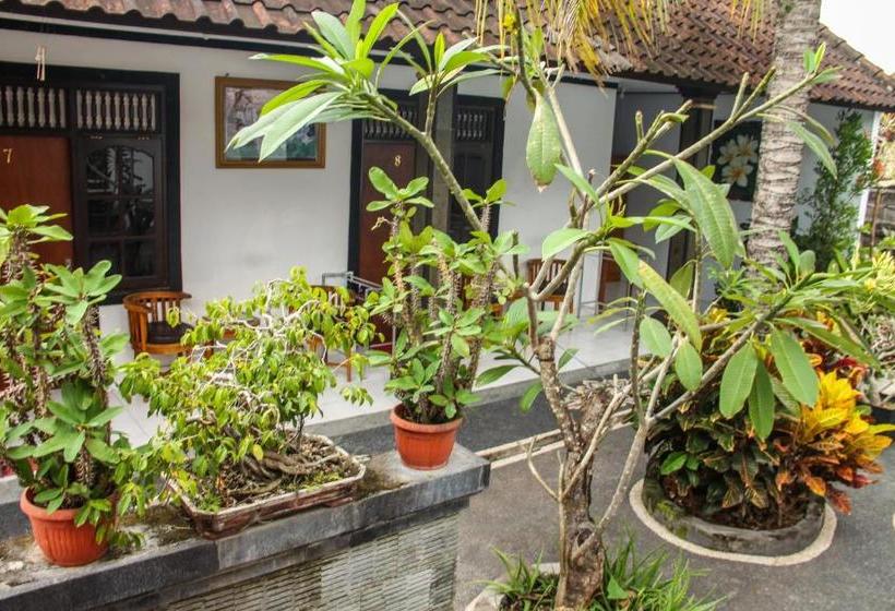 פנסיון Nyoman Guesthouse Canggu