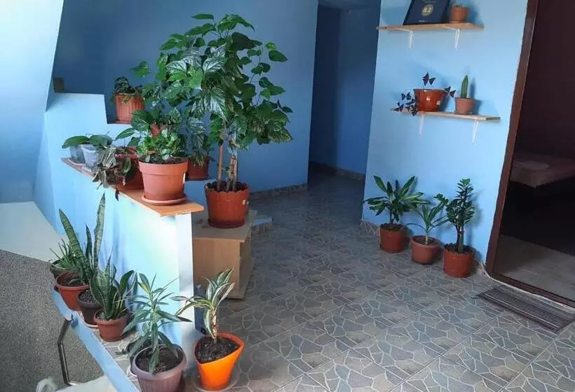 پانسیون Casa Ana