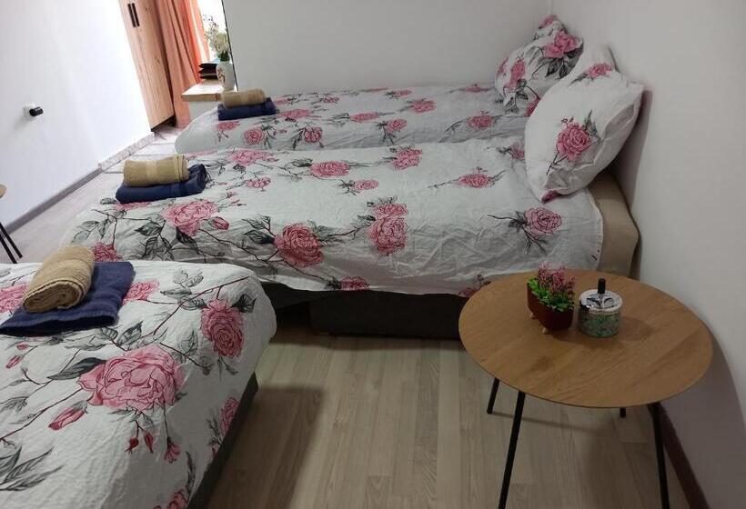 پانسیون Castello