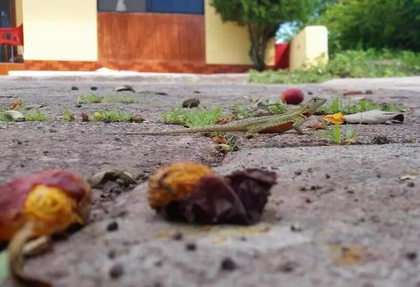 ペンション Hostal Romy