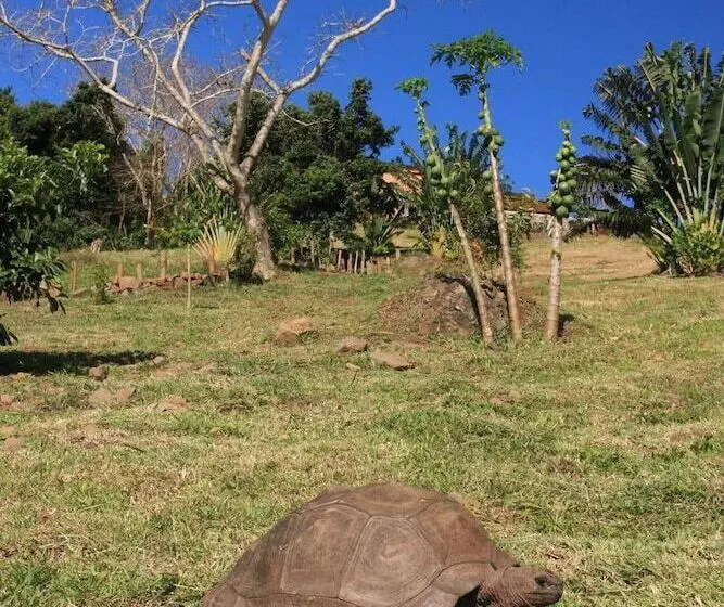 پانسیون La Hacienda Mauritius