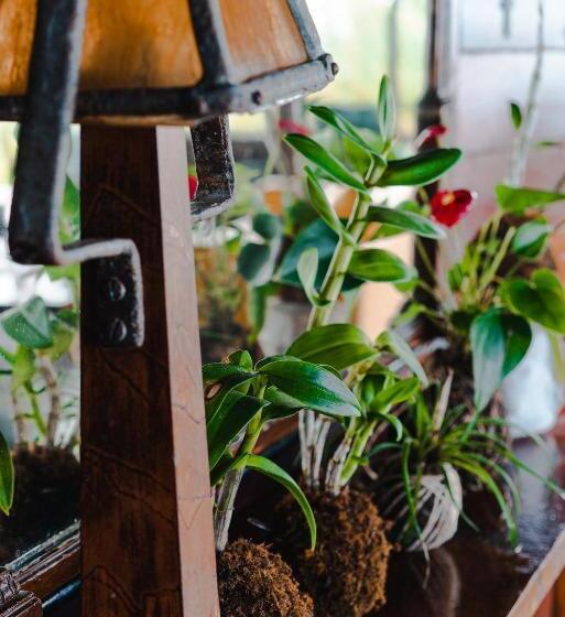 ペンション O Céu De Boipeba