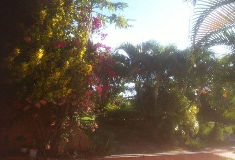 Пансион Pousada Herva Doce