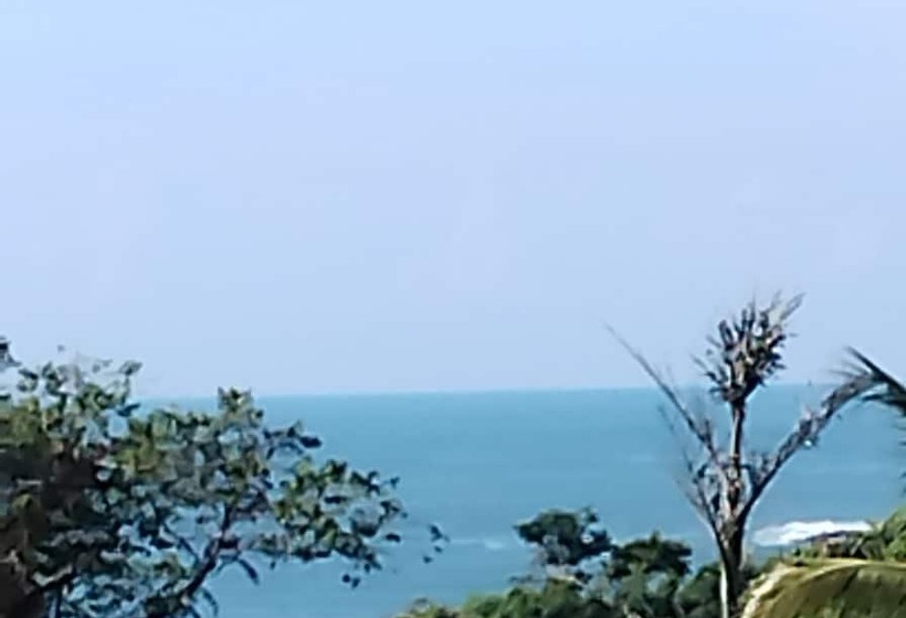 Пансион Pousada Herva Doce