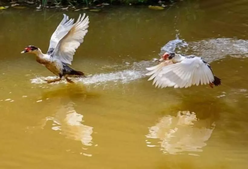 ペンション Pousada Luar Do Sertão