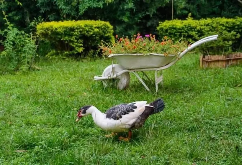 ペンション Pousada Luar Do Sertão