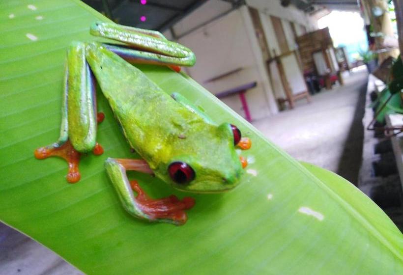 Общежитие El Faro 13 De Puerto Viejo