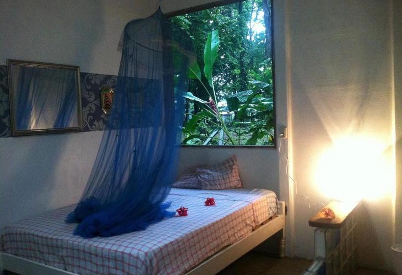 Общежитие El Faro 13 De Puerto Viejo