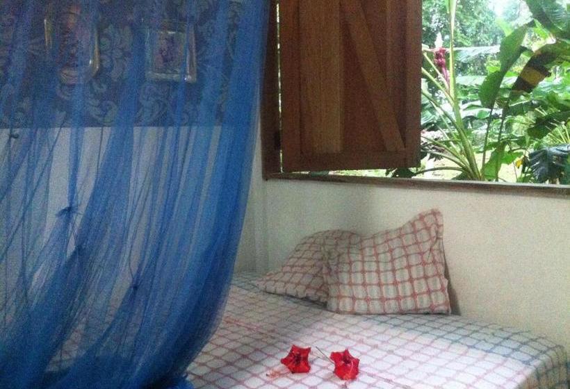 Общежитие El Faro 13 De Puerto Viejo